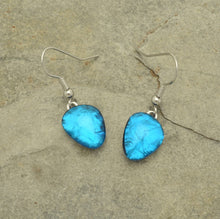 Load image into Gallery viewer, Miss Milly Floria Blue Pebble Drop Earrings