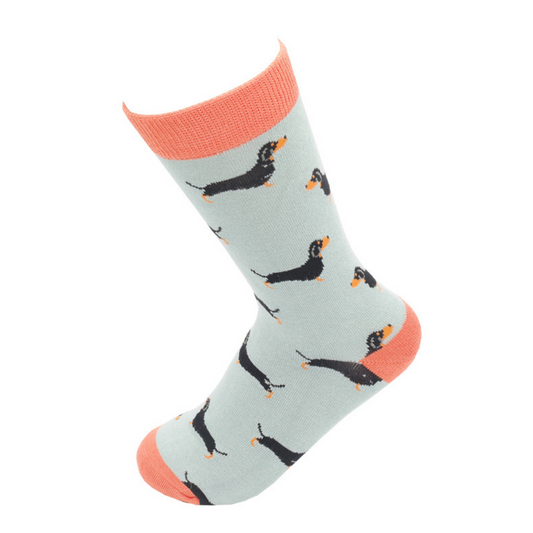 Miss Sparrow Bamboo Sausage Dog Socks - Duck Egg